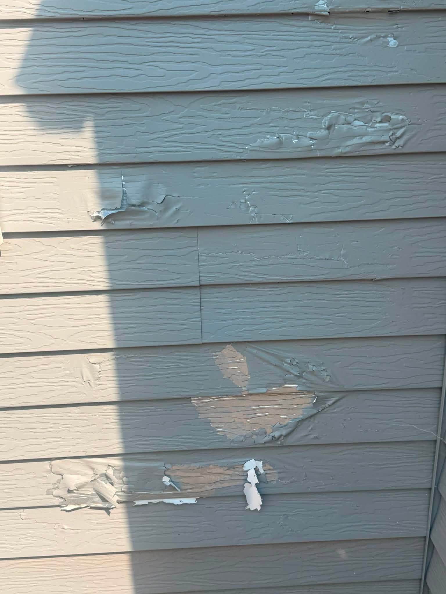 A wall shot close: the paint blistered and lifted away from the lap siding in patches, with a paler layer showing through where it has come off.