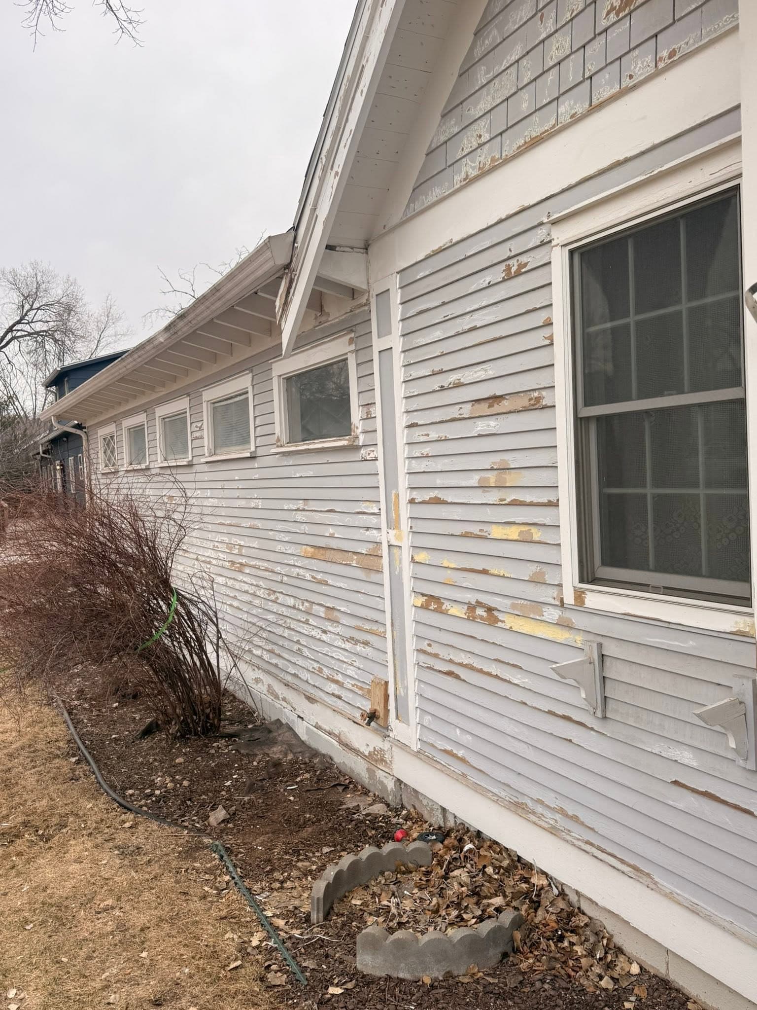 A long side elevation with the old paint scraped back in patches along the boards, a downpipe and shrub bed in front